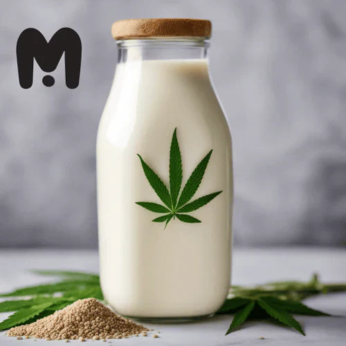 Where To Buy Hemp Milk with milk