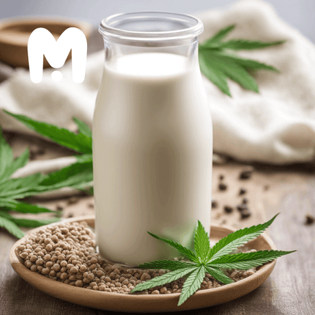 Hemp Milk during Pregnancy with hemp milk