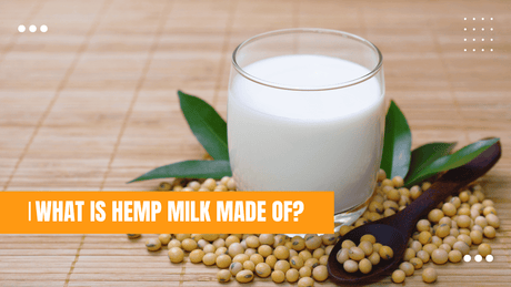 what is hemp milk made of? a glass of hemp milk with seeds beside