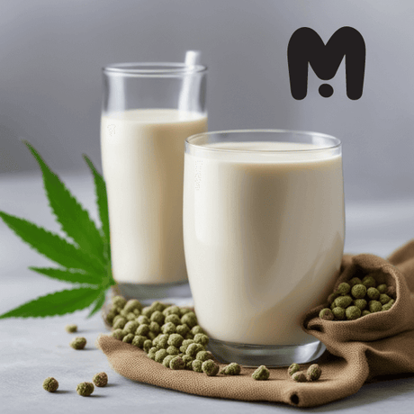 Hemp Milk at Costco with 2 glass milk