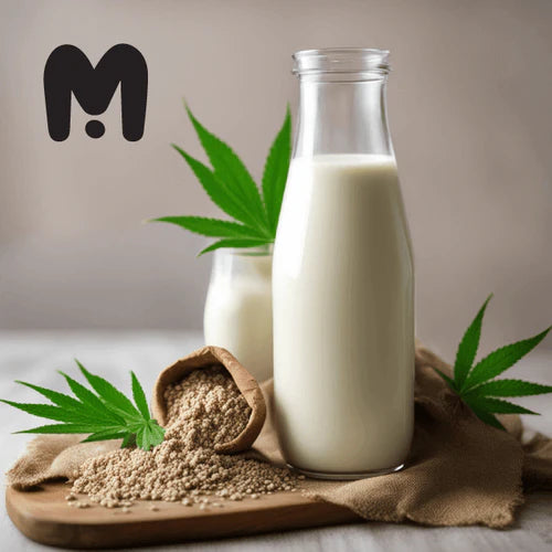 What is Hemp Milk Made From? Ingredients and Process Explained