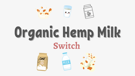 Why You Should Switch to Organic Hemp Milk Today