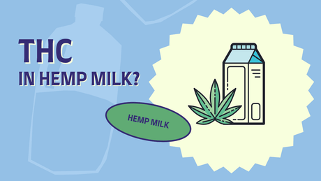 Does Hemp Milk Contain THC? Separating Fact from Fiction