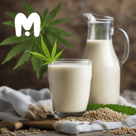 Is Hemp Milk Bad for You with 2 glass milk